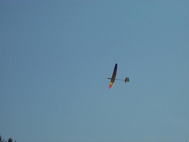 DCP_1919.jpg
