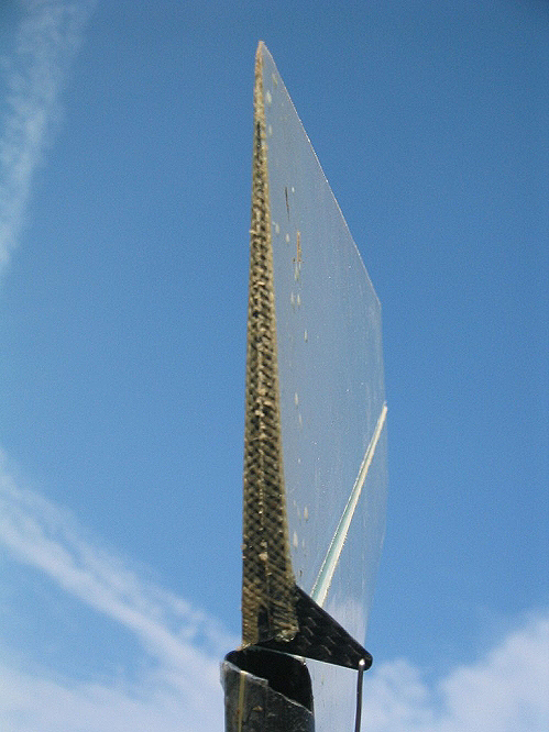 IMG_8918.jpg