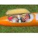 Fuselage pod showing servo installation and radio gear.