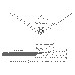 Diagram of the Tail